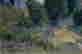 item-120895373=2