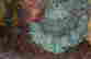 item-120896663=2