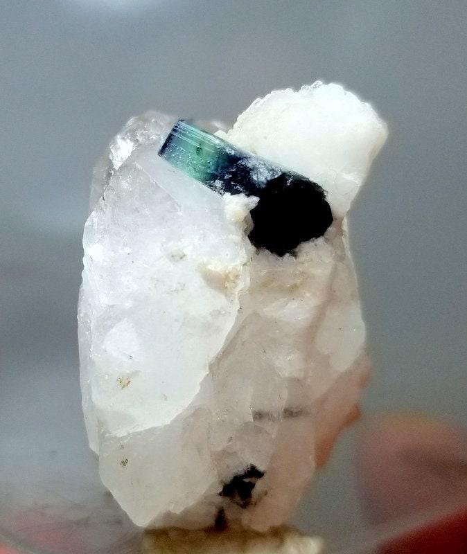 21 Grams Lovely Natural Blue Tourmaline Crystals with: 21 Grams Lovely Natural Blue Tourmaline Crystals with labite and Quartz Specimen From Skardu pakistan size 31mm 22mm 22mm weight 21 Grams Reserve: $20.00 Shipping: Domestic: Flat-rate of $10.00 to any