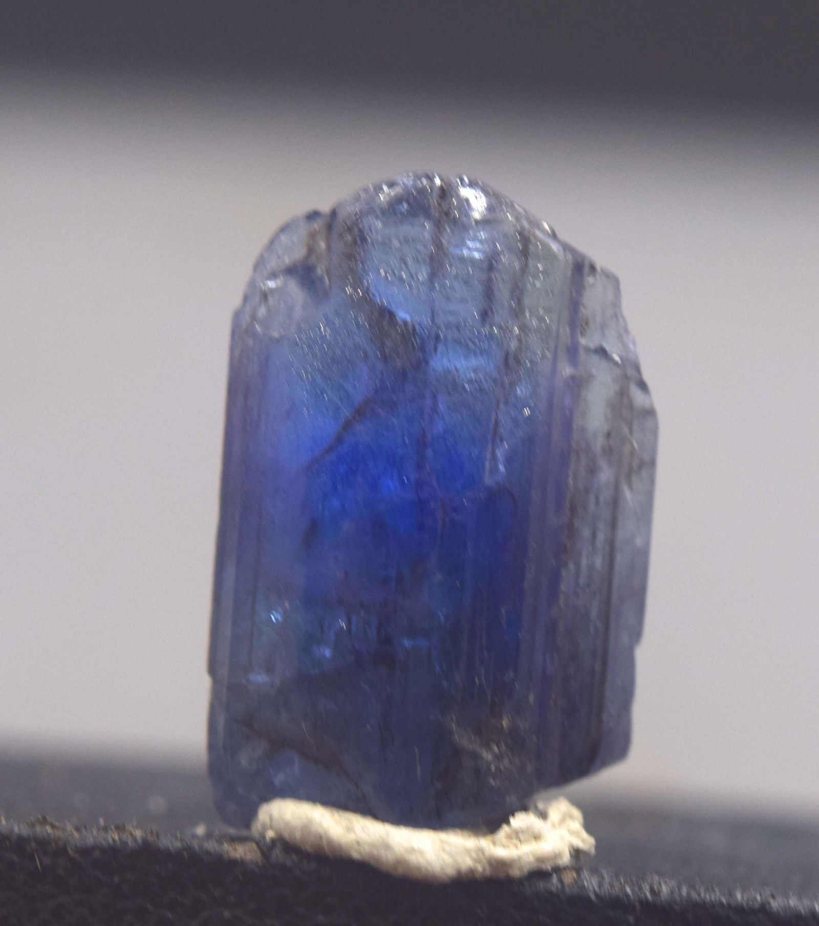 Tanzanite Crystal Terminated Tanzanite Crystal 2 gram (1 of 5)