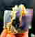 item-120923463=2