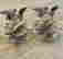 item-120942460=2