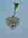 item-120942473=4