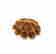 item-121016938=4