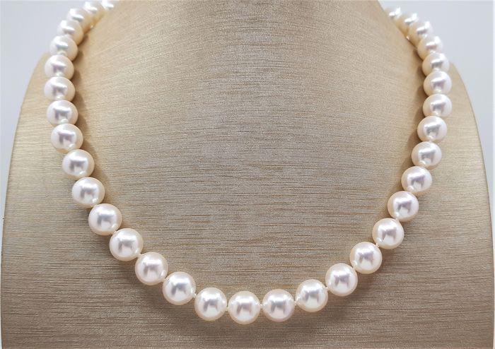 Top grade AAA 9x9.5mm Akoya Pearls - 14 kt. White gold (1 of 10)