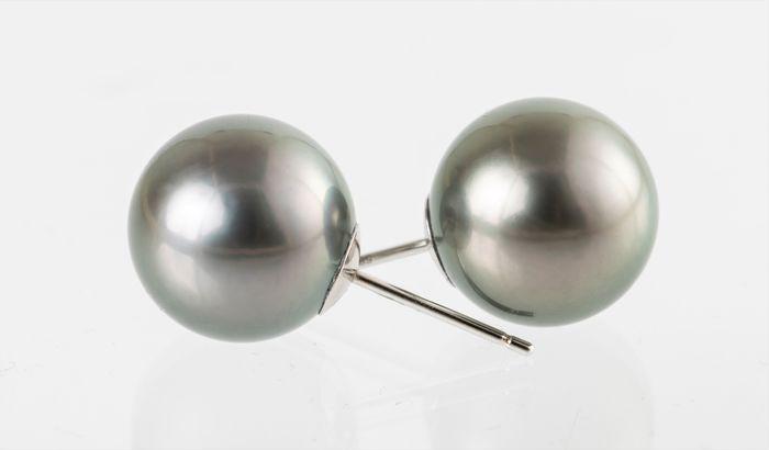 12mm Round Green Tahitian Pearls - 14 kt. White gold -: Title: 12mm Round Green Tahitian Pearls - 14 kt. White gold - Earrings Description: Produced by the Pinctada Margaritifera oyster in the tropical lagoons of French Polynesia, these pearls have a natur