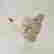 item-121289534=2