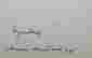 item-121316315=3