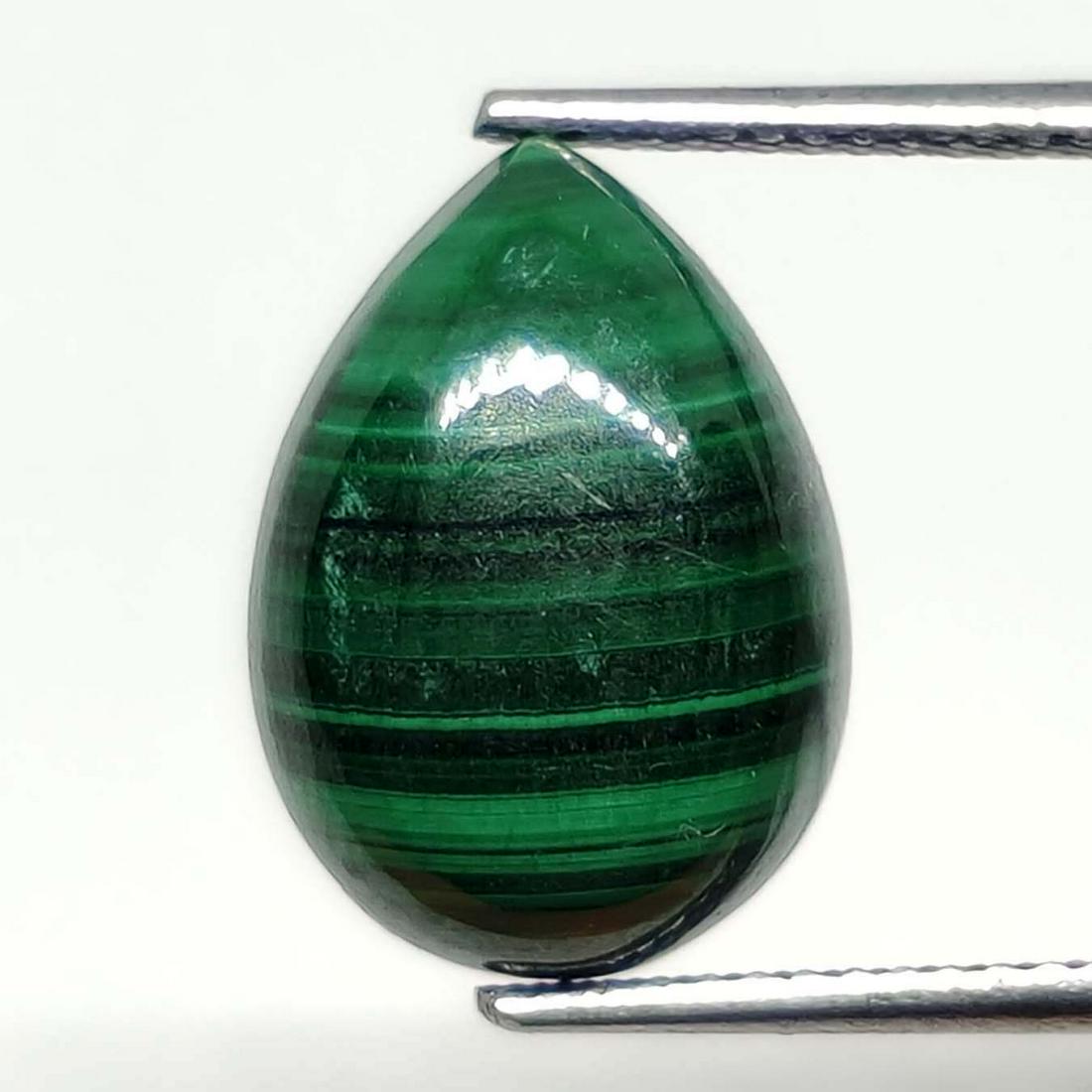 7.95 ct Natural Malachite: No Reserve! Title: 7.95 ct Natural Malachite Description: Gemstones: Malachite Carat Weights: 7.95 ct Size/Dimensions: 14 X 10 mm Materials & Techniques: Malachite Weight Unit: Ct Quantity: 1 Shipp