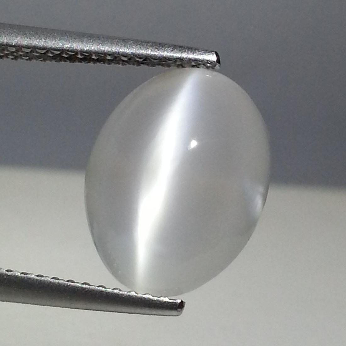 Natural Moonstone Cat's Eye - 4.80: No Reserve! Title: Natural Moonstone Cat's Eye - 4.80 Color clarity:Loosegemstone Gemstones: IF - VVS Carat weights: 4.8 Size/Dimensions:11.10 x 7.90 x 7.70 Additional Info:Oval - Srilanka Shipping: D