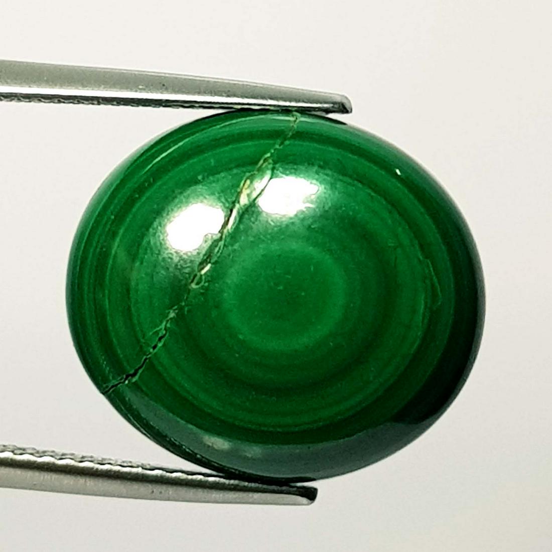 20.28 ct Natural Malachite: No Reserve! Title: 20.28 ct Natural Malachite Color clarity:Opaque Gemstones: Loosegemstone Carat weights: 20.28 Size/Dimensions:18.10 x 16.20 x 6.00 Additional Info:Oval - USA/Egypt Shipping: Domesti