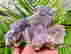 item-121819385=2
