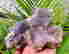 item-121819385=3