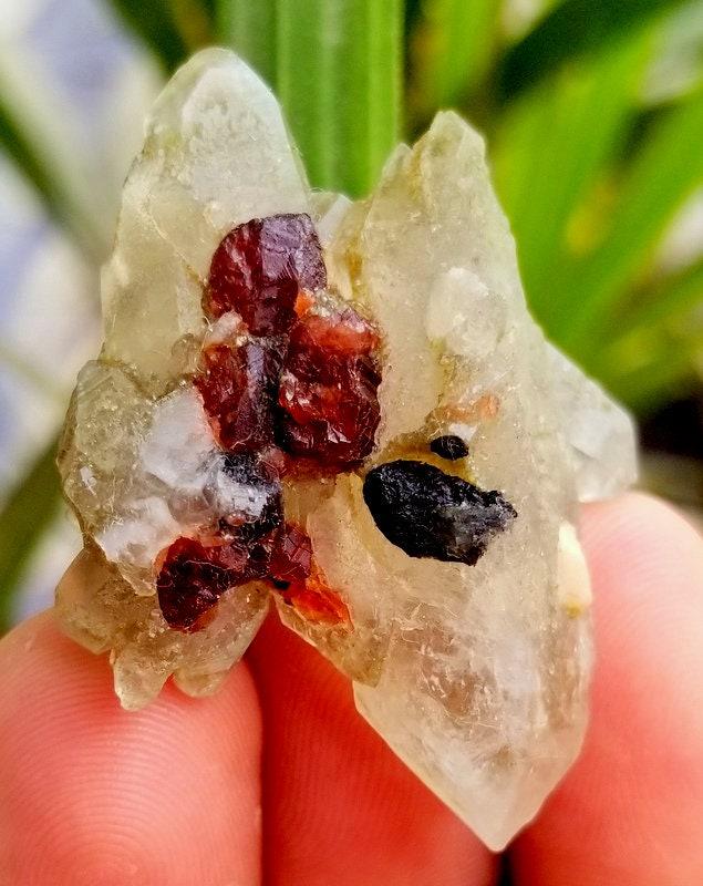 20 Gram Beautiful Red Garnet With Chlorine Quartz (1 of 7)