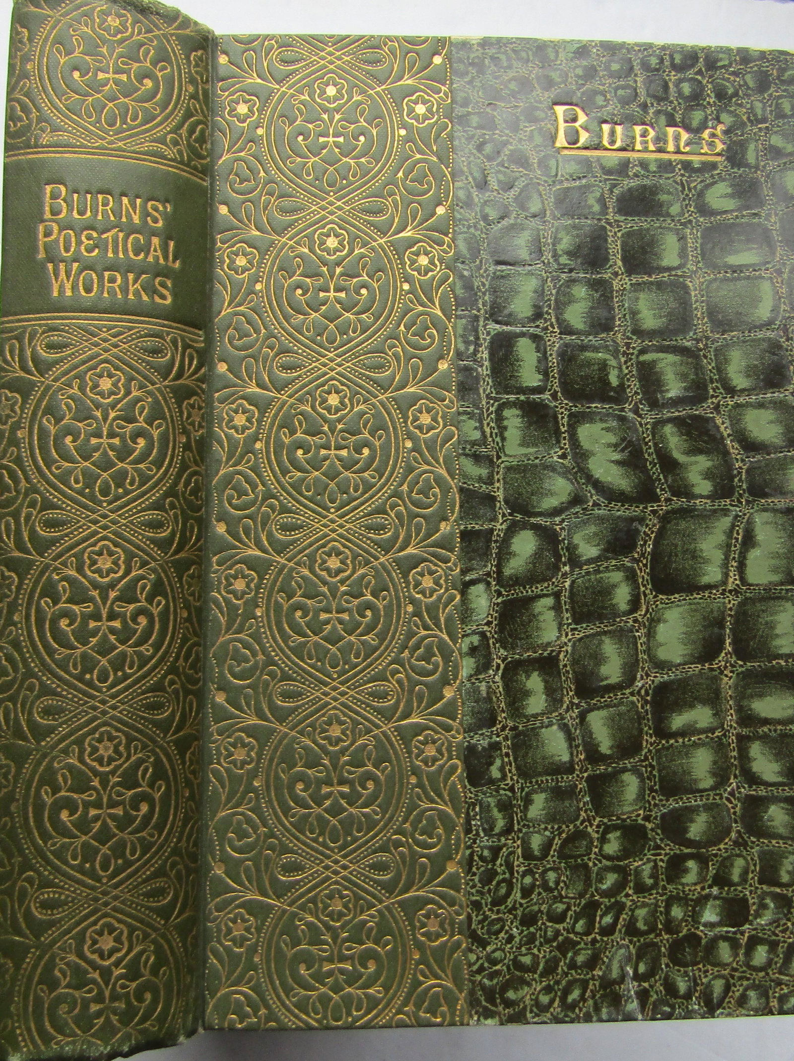 The Poetical Works of Robert Burns (1 of 4)