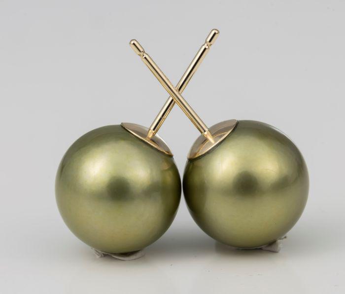 United Pearl - 10x11mm Special Jade Pistachio Tahitian: Title: United Pearl - 10x11mm Special Jade Pistachio Tahitian Pearls - 14 kt. Yellow gold - Earrings Description: Produced by the Pinctada Margaritifera oyster in the tropical lagoons of French Polyne
