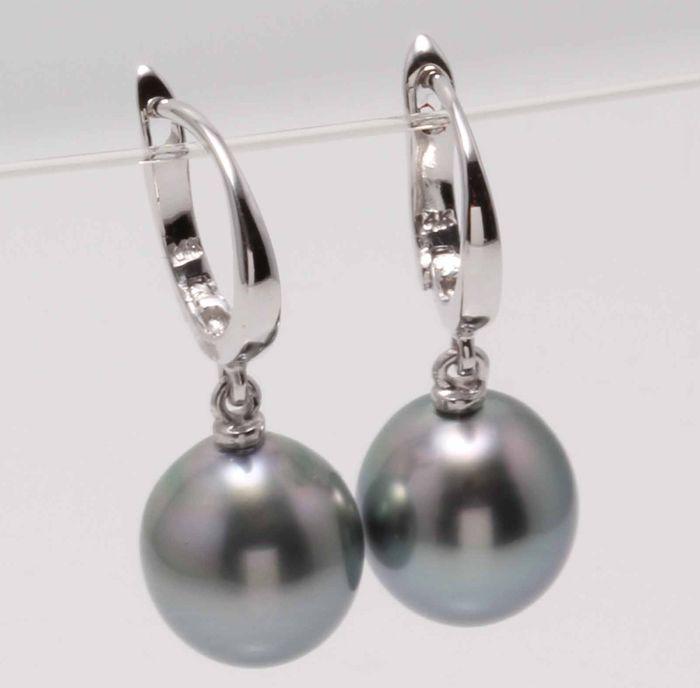 14 kt. White Gold - 10mm Tahitian Pearl Drops -: Title: 14 kt. White Gold - 10mm Tahitian Pearl Drops - Earrings Description: Emerging from the tropical lagoons of French Polynesia, these Tahitian pearls have been hand selected for their natural bea