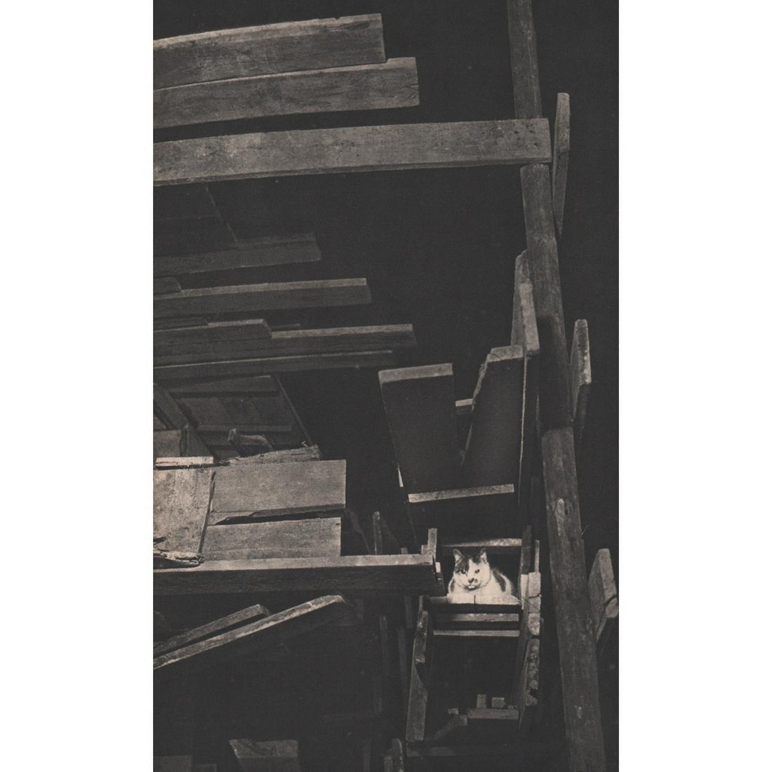 BRASSAI - Cat: Artist: BRASSAI Print Title: Cat Medium: Sheet-fed Gravure Printing Date: 1940's Printed in France Image size approx. 11.25 X 7 inches Brassai was a Hungarian–French photographer, sculptor, writ