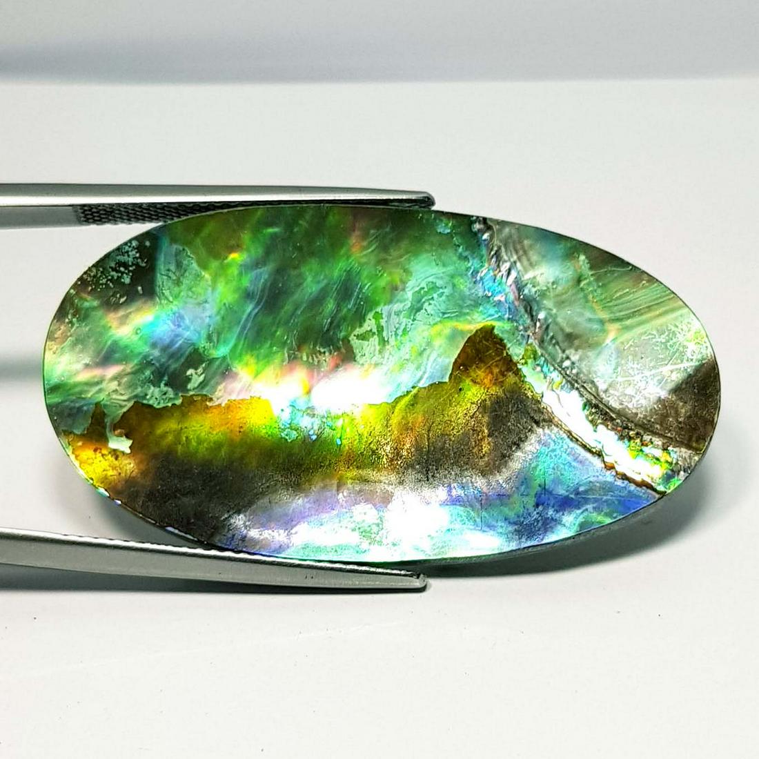 24.85 ct Natural Australian Abalon: No Reserve! Title: 24.85 ct Natural Australian Abalon Color/Clarity: Opaque Gemstones: Gemstones Carat Weights: 24.85 Size/Dimensions: 40.20 x 21.65 x 3.30 Additional Information: Oval - Australia Shi