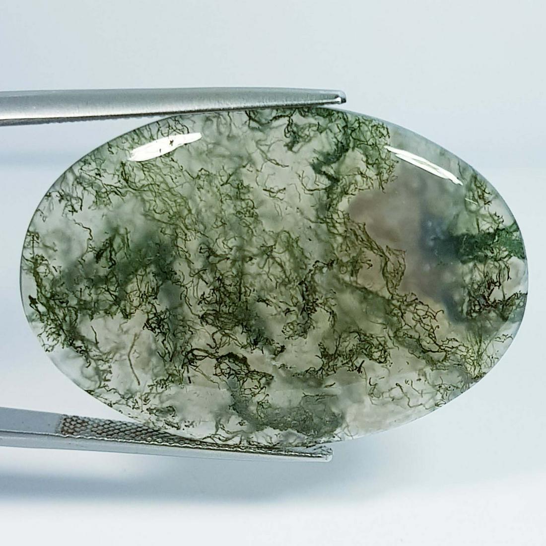 42.77 ct Natural Ocean Jasper: No Reserve! Title: 42.77 ct Natural Ocean Jasper Color/Clarity: Opaque Gemstones: Gemstones Carat Weights: 42.77 Size/Dimensions: 38.50 x 27.25 x 5.00 Additional Information: Oval - Brazil Shipping: