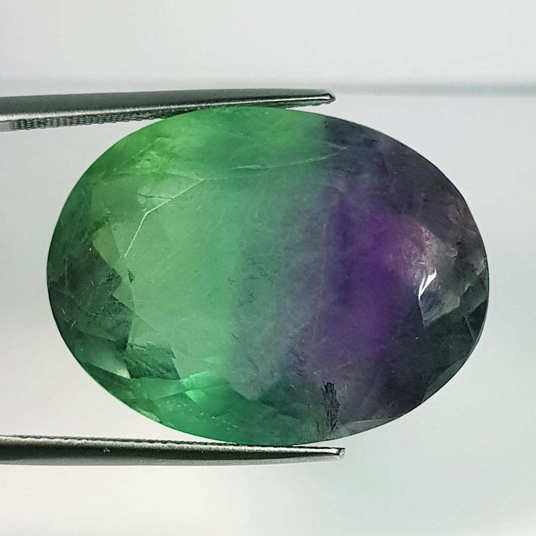 82.72 Ct Natural Bi Color Fluorite Oval Cut (1 of 4)