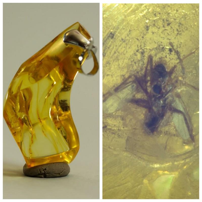 Natural Baltic amber pendant inclusion insect silver (1 of 16)