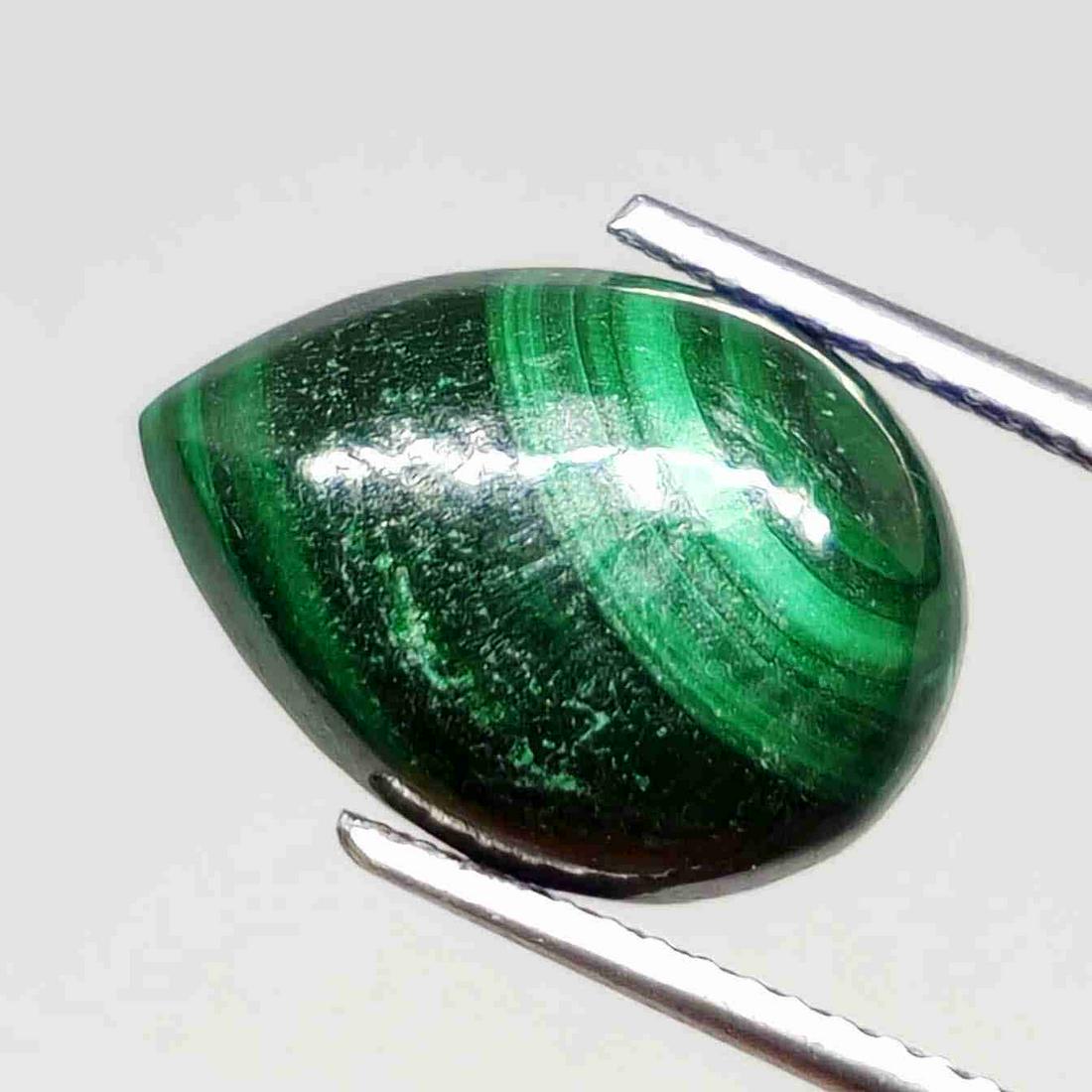 7.85 ct Natural Malachite: No Reserve! Title: 7.85 ct Natural Malachite Description: Gemstones: Malachite Carat Weights: 7.85 ct Size/Dimensions: 14 X 10 mm Materials & Techniques: Malachite Weight Unit: Ct Quantity: 1 Shipp