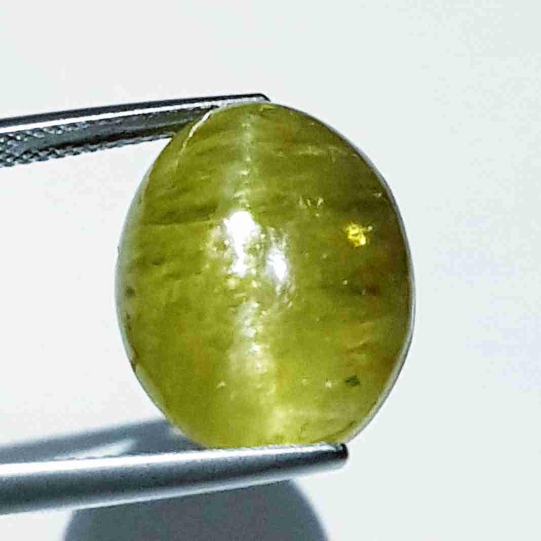 23.28 ct Natural Apatite cat's Eye: No Reserve! Title: 23.28 ct Natural Apatite cat's Eye Color/Clarity: Opaque Gemstones: Loosegemstone Carat Weights: 23.28 Size/Dimensions: 18.60 x 15.00 x 10.10 Additional Information: Oval - Jharkhan