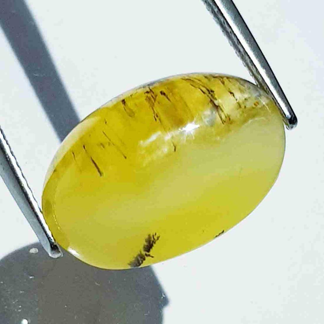9.92 ct Natural Opal Cat's Eye: No Reserve! Title: 9.92 ct Natural Opal Cat's Eye Color/Clarity: Semi Transparent Gemstones: Loosegemstone Carat Weights: 9.92 Size/Dimensions: 17.00 x 11.80 x 8.60 Additional Information: Oval - Afri