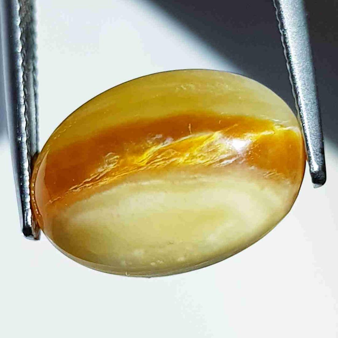 10.36 ct Natural Opal Cat's Eye: No Reserve! Title: 10.36 ct Natural Opal Cat's Eye Color/Clarity: Semi Transparent Gemstones: Loosegemstone Carat Weights: 10.36 Size/Dimensions: 16.00 x 11.50 x 9.80 Additional Information: Oval - Af