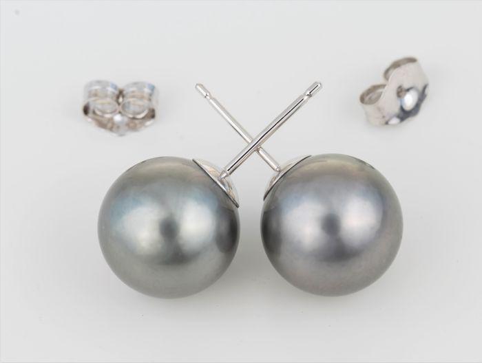 9x10mm Dove Grey Tahitian Pearls - 14 kt. White gold -: Title: 9x10mm Dove Grey Tahitian Pearls - 14 kt. White gold - Earrings Description: Produced by the Pinctada Margaritifera oyster in the tropical lagoons of French Polynesia, these pearls have a natur
