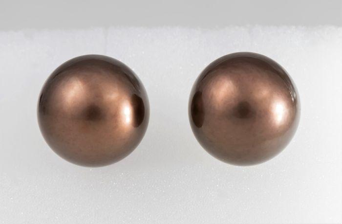 9x10mm Chocolate Tahitian Pearls - 14 kt. Yellow gold -: Title: 9x10mm Chocolate Tahitian Pearls - 14 kt. Yellow gold - Earrings Description: Emerging from the tropical lagoons of French Polynesia, these pearls have a beautiful cherry brown colour with a ri