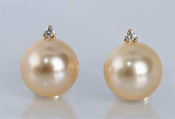 9x10mm Golden South Sea Pearls - 14 karaat Geel goud -: Title: 9x10mm Golden South Sea Pearls - 14 karaat Geel goud - Oorbellen - 0.04 ct Description: Classic Elegance! Produced by the gold lipped Pinctada Maxima oyster in the warm oceans of Australia to I