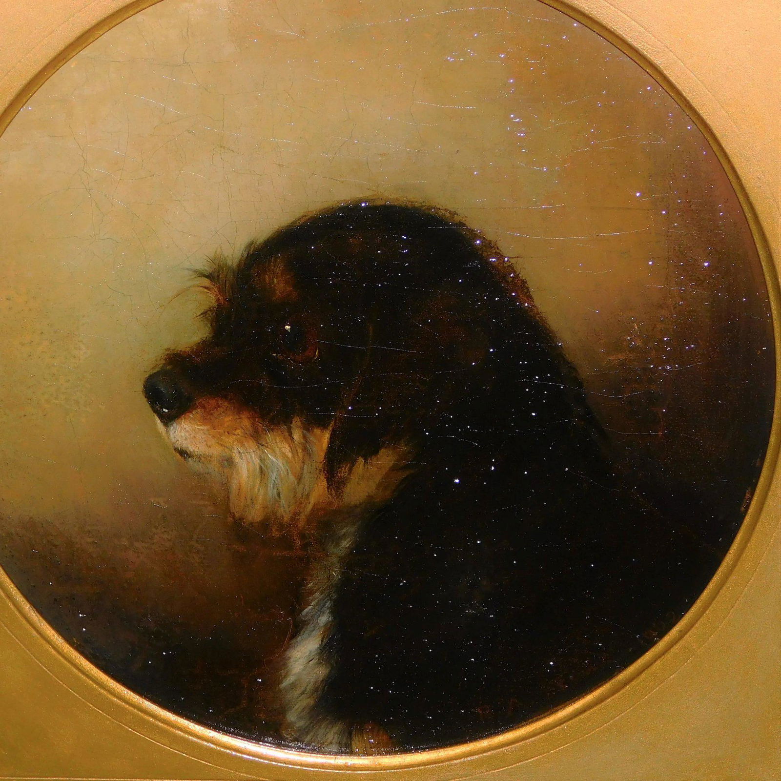 Portrait of a Spaniel Dog by B.A. Howe (1 of 5)