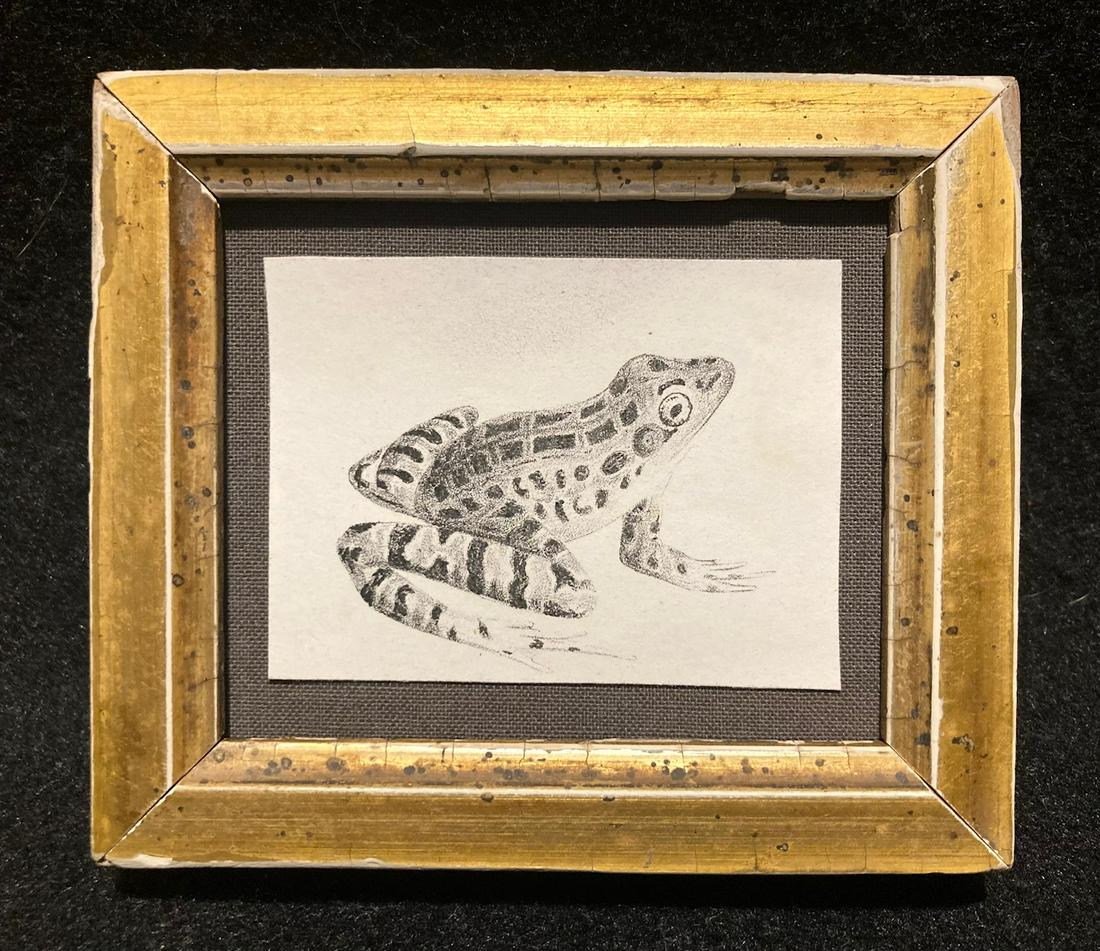 C1840 The Tiny Marsh Tree Toad engraving (1 of 2)