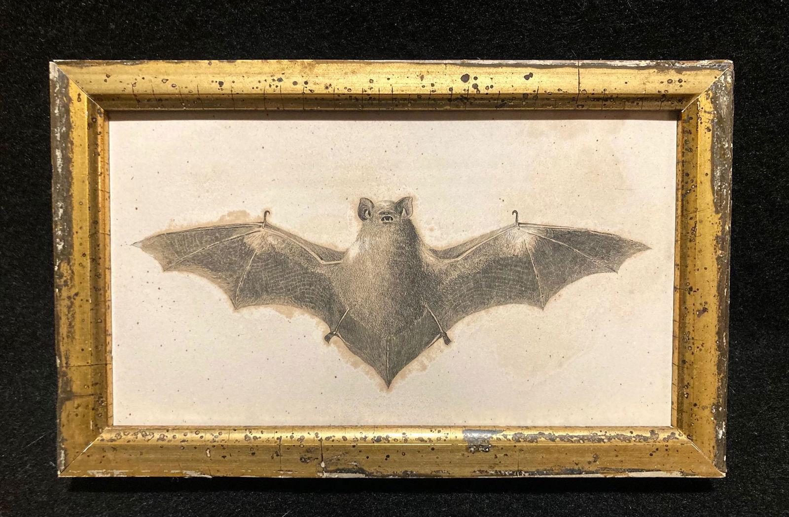 C1840 The New York Bat engraving (1 of 2)