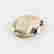 item-123150181=2
