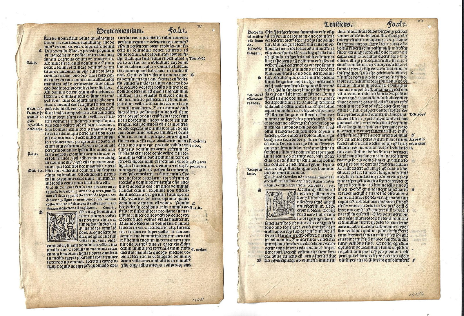 1514 Latin Bible Leaves Portrait Initials (1 of 2)