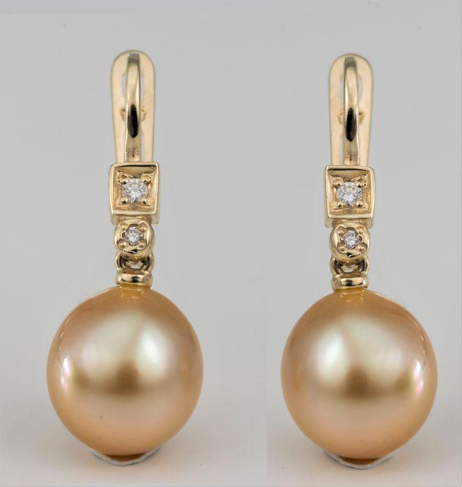 10x11mm Deep Golden South Sea Pearls - 14 kt. Yellow: Title: 10x11mm Deep Golden South Sea Pearls - 14 kt. Yellow gold - Earrings - 0.07 ct Description: Produced by the Pinctada Maxima Oyster in the warm oceans of Australia to Indonesia, these pearls hav
