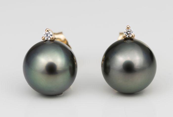 9x10mm Round Black Peacock Tahitian Pearls - 14 kt. (1 of 7)