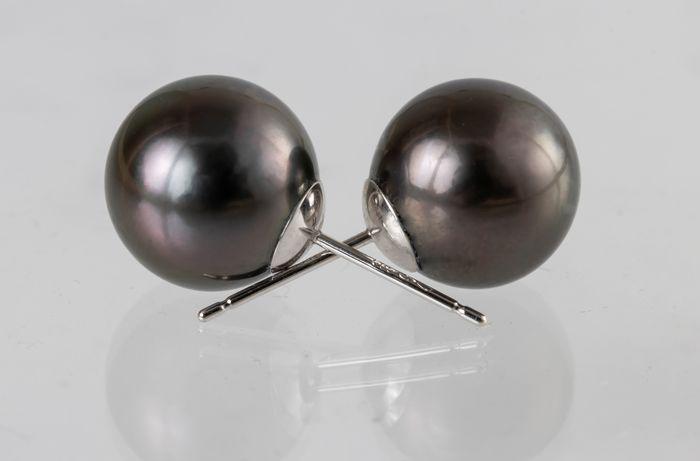 10x11mm Black Tahitian Pearls - 14 kt. Yellow gold -: Title: 10x11mm Black Tahitian Pearls - 14 kt. Yellow gold - Earrings Description: A stunning and distinctive pair of black Tahitian pearl stud earrings, easy to wear and a perfect complement to the co
