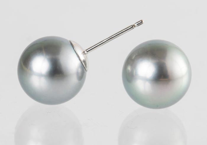 10x11mm Silvery Peacock Tahitian Pearls - 14 kt. White: Title: 10x11mm Silvery Peacock Tahitian Pearls - 14 kt. White gold - Earrings Description: A stunning and distinctive pair of silvery green Tahitian pearl stud earrings, easy to wear and a perfect com