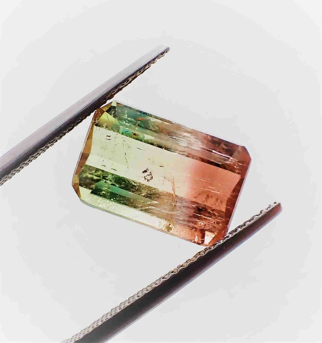 Bi-Color Tourmaline - 6.90 ct (1 of 8)