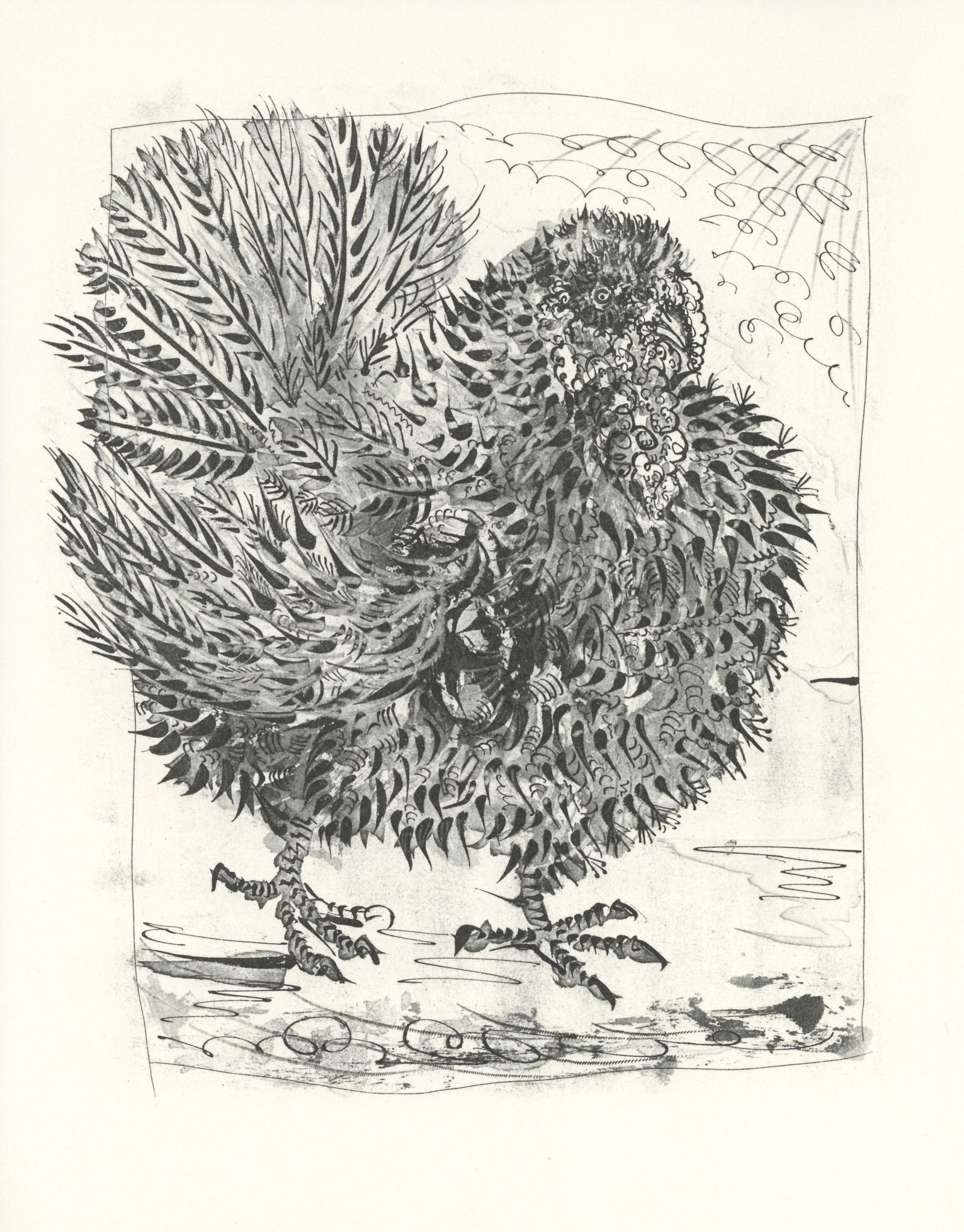 Pablo Picasso "Le Dindon" The Turkey | Buffon (1 of 1)