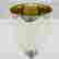 item-123734006=6