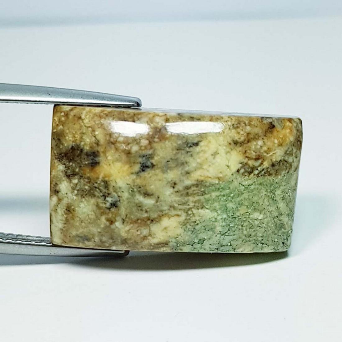 23.82 Ct Natural China Jasper: No Reserve! Title: 23.82 Ct Natural China Jasper Color/Clarity: Opaque Gemstones: LooseGemstone Carat Weights: 23.82 Size/Dimensions: 21.65 x 12.30 x 7.40 Additional Info: Rectangular - Africa Shippin
