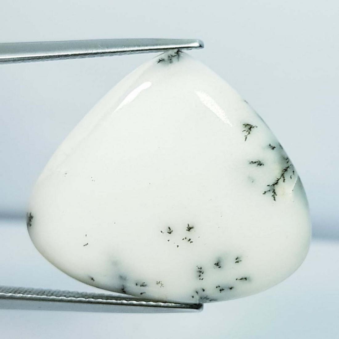 23.15 Ct Natural Dendrite Opal: No Reserve! Title: 23.15 Ct Natural Dendrite Opal Color/Clarity: Opaque Gemstones: Loosegemstone Carat Weights: 23.15 Size/Dimensions: 26.80 x 23.75 x 4.50 Additional Info: Pear / Australia Shipping: