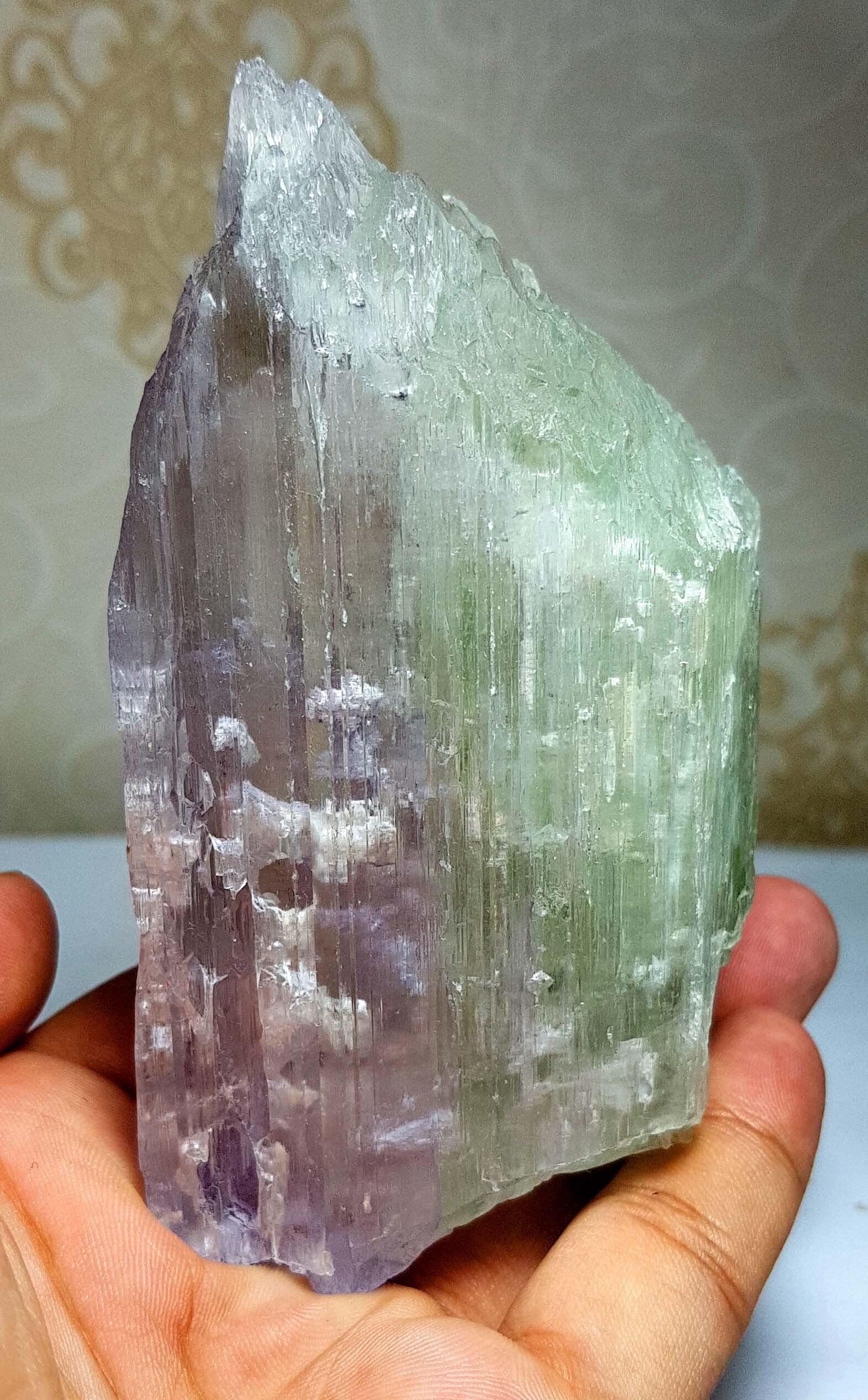 Natural Spodumene Kunzite Crystal Bi-Color With Complex Terminations - 365 Gram: Natural Spodumene Kunzite Crystal Bi-Color With Complex Terminations Weight - 365 Gram Dimensions : 107*63*34 mm Treatment : Natural origin : Afghanistan DHL EXPRESS shipping Reserve: $155.00 Shipping