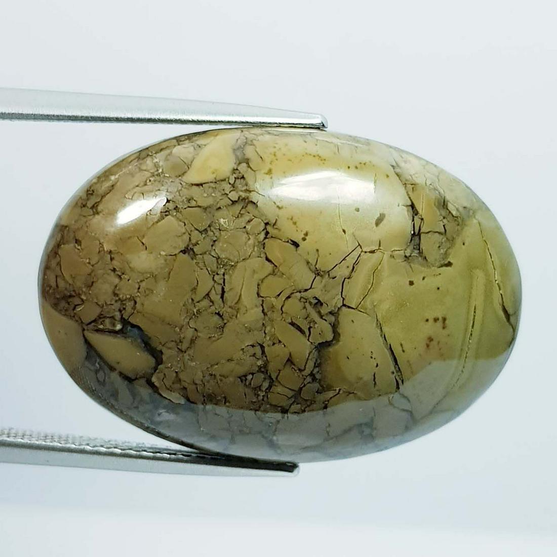 33.87 ct Natural Thunder Agate (1 of 4)