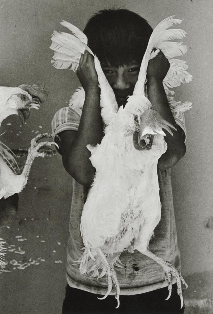 GRACIELA ITURBIDE - El Gallo (The Rooster), Oaxaca: Artist: Graciela Iturbide Description: El Gallo (The Rooster), Juchitan, Oaxaca, 1986 Medium: Photo Litho, 1996, Italy Dimension: 6.8x10" Description: Heat Wax Mounted on 11x14" Conservation Board Art